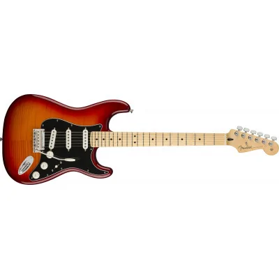 Player Stratocaster Plus Top MN ACB - gitara elektryczna