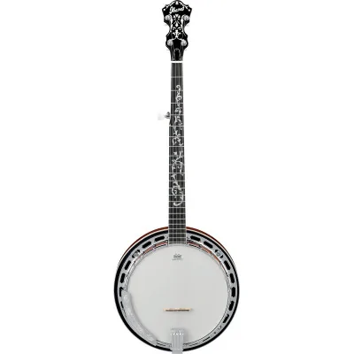 B-200 - banjo pięciostrunowe