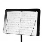 Cascha Orchestra Music Stand - pulpit do nut
