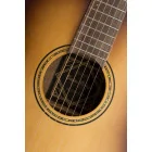 Baton Rouge X-11 S/SD COB - gitara akustyczna