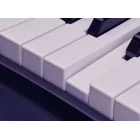 Yamaha YC61 - estradowe organy cyfrowe/stage keyboards