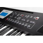 Roland BK-3 BK - keyboard